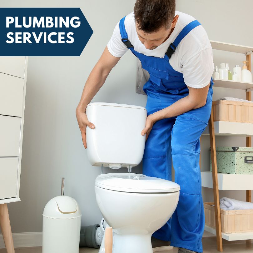 Plumbing Company in Dafter, MI